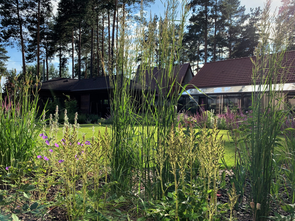 На солнечной поляне