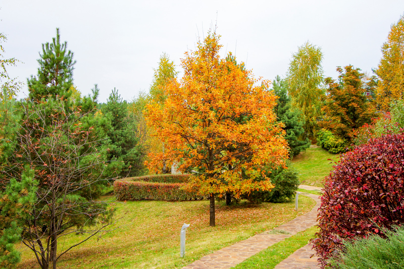 Лобаново, 2012-2021 гг.