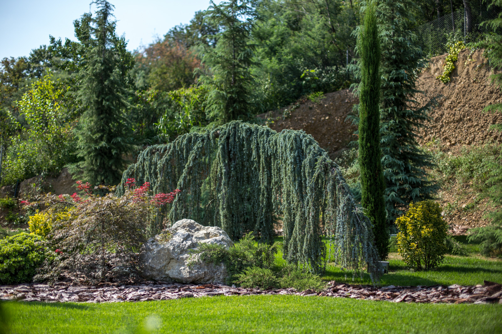 Обложка проекта: Сириус Сочи