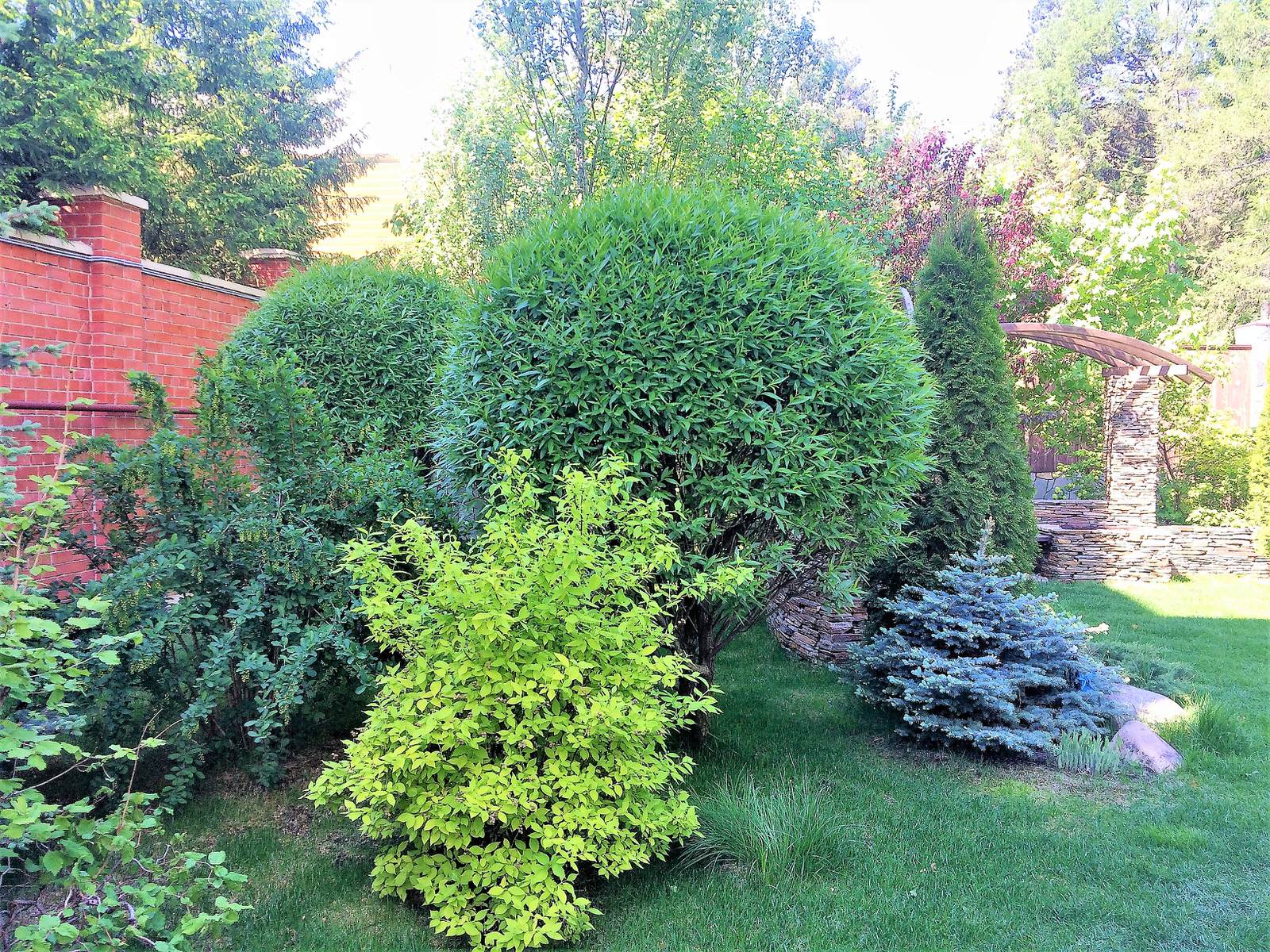 В Центре мегаполиса