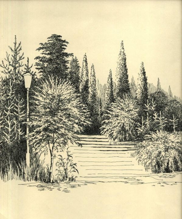 Мои черно-белые рисунки