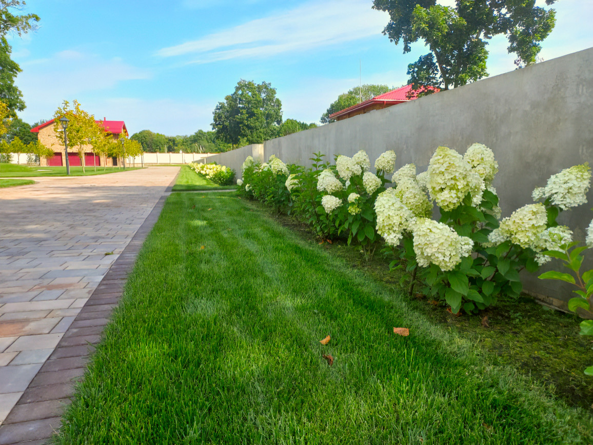 Landscape design of the territory (Moscow region 2022)