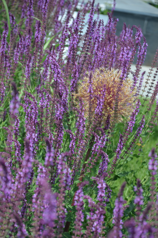 Мягкий и пушистый