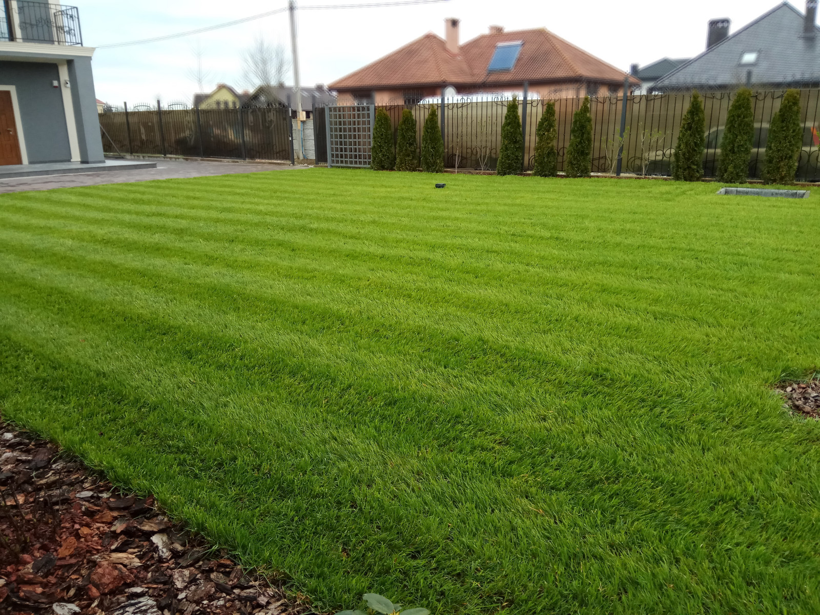 Обложка альбома: Идеи пользователя webuser_812794576