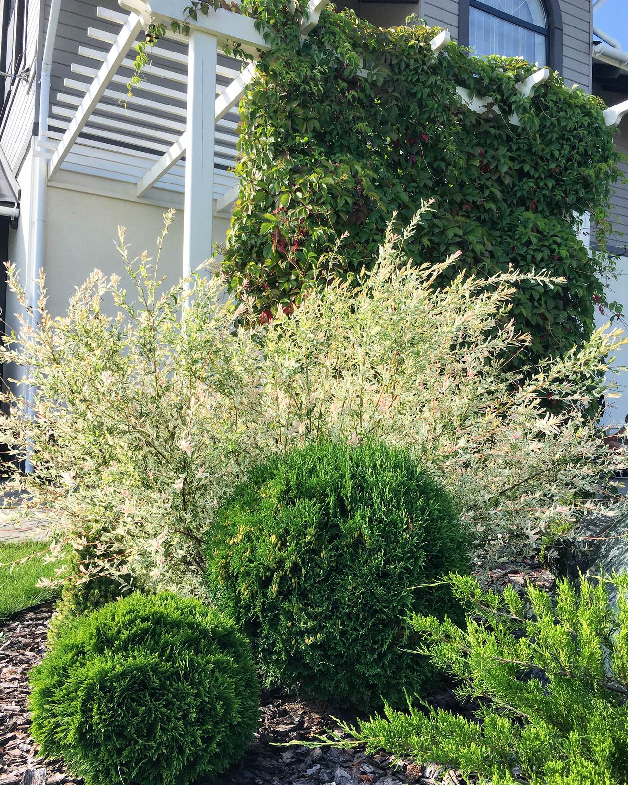 Ландшафтный дизайн сада в поселке "Олимп"