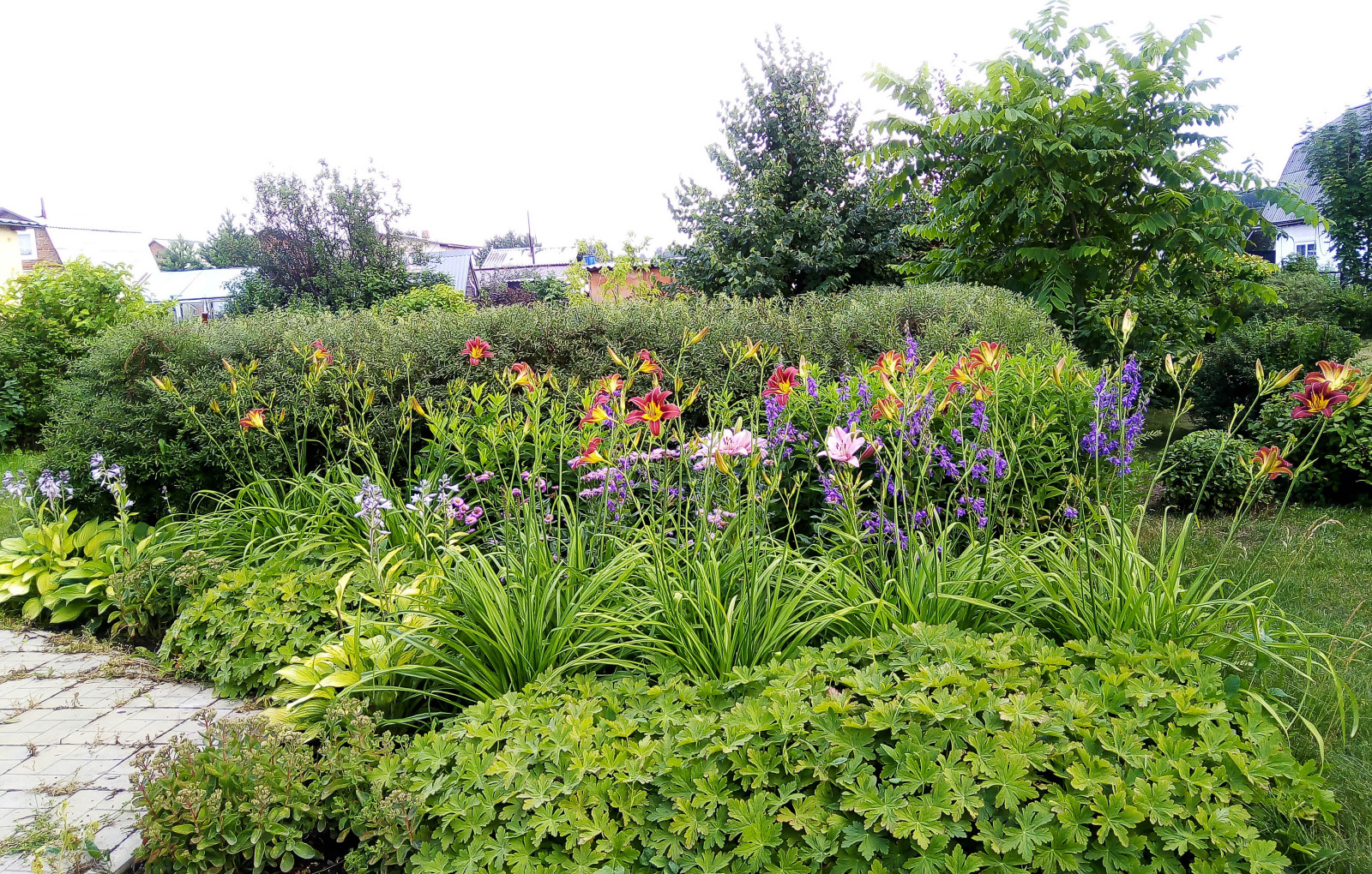 Цветник из многолетников