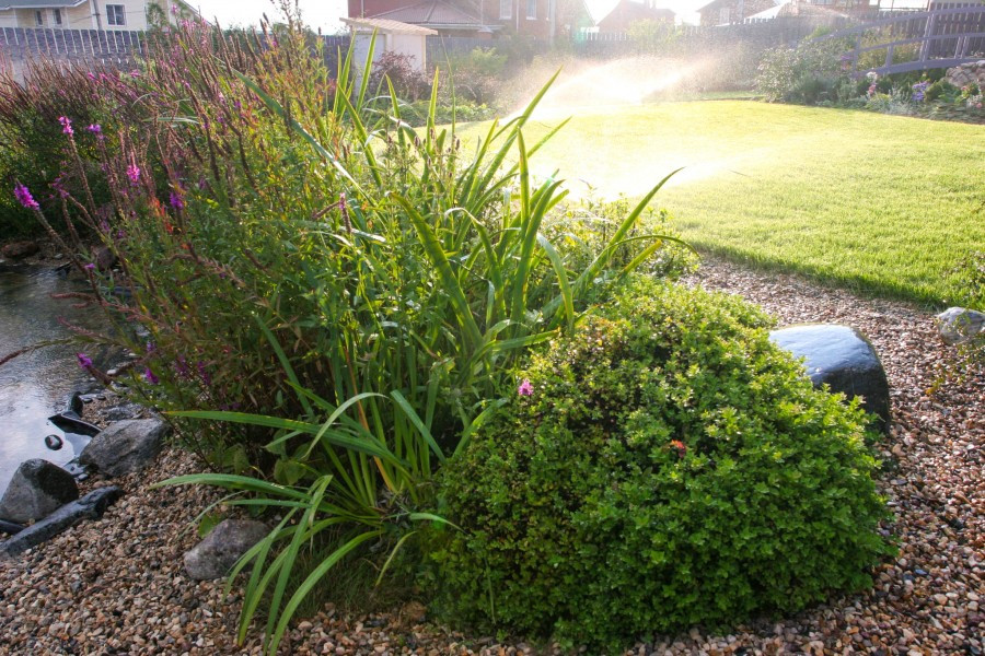 Полив в саду. Подмосковье.