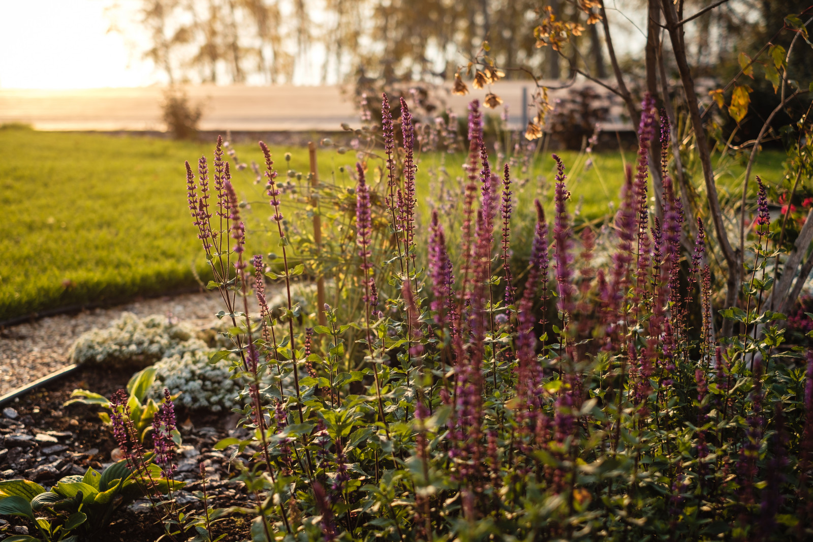 Сад на крутом склоне