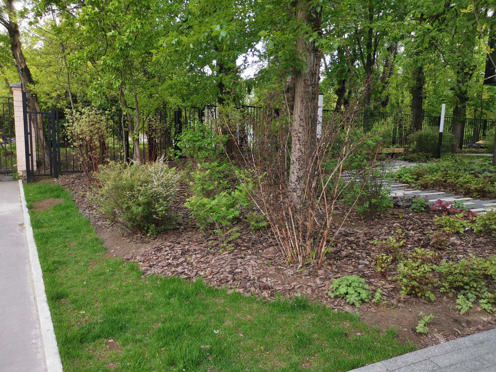 Алексей Семенов