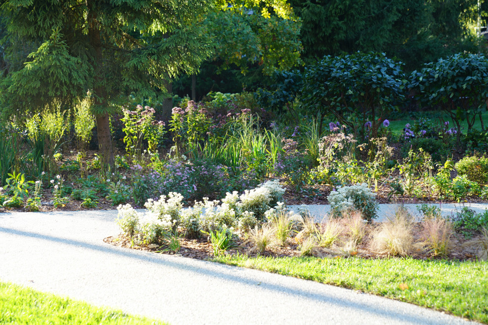 Круговорот цвета. Дубровка 2021