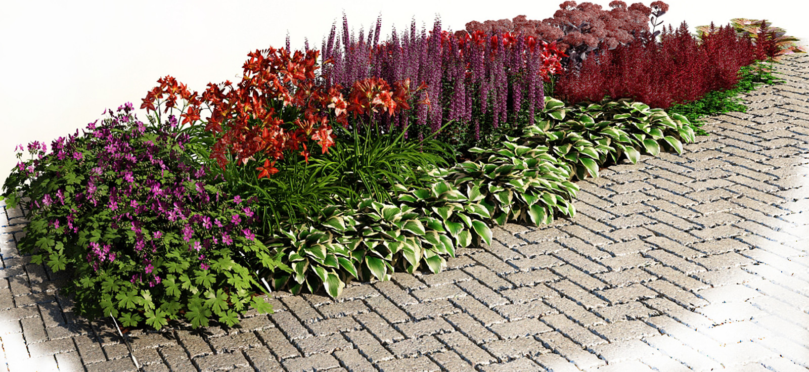 Цветник в пурпурных тонах