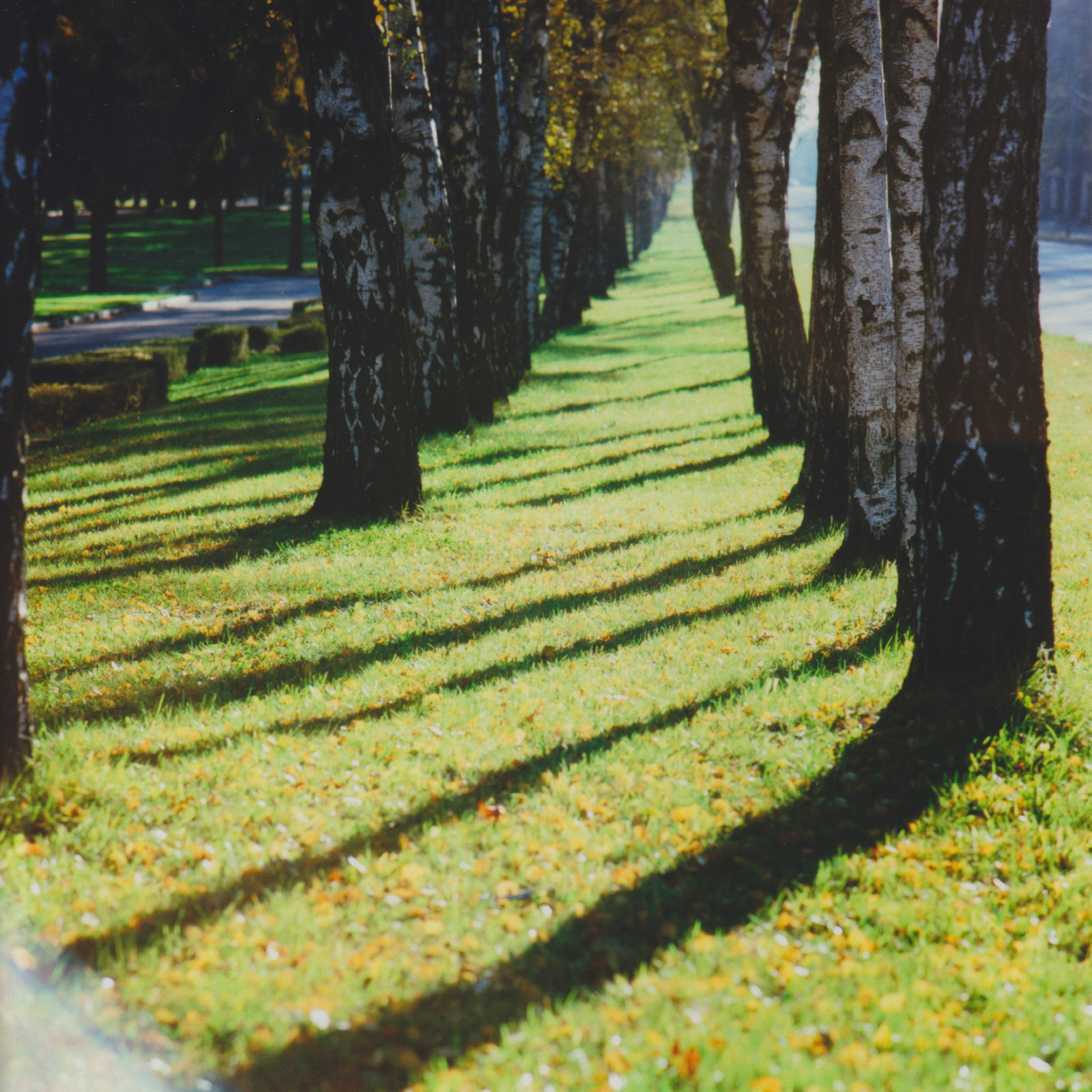 Фотографии на продажу