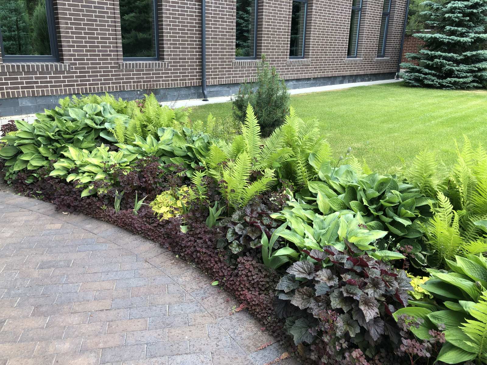 Озеленение частных участков и укладка рулонного газона