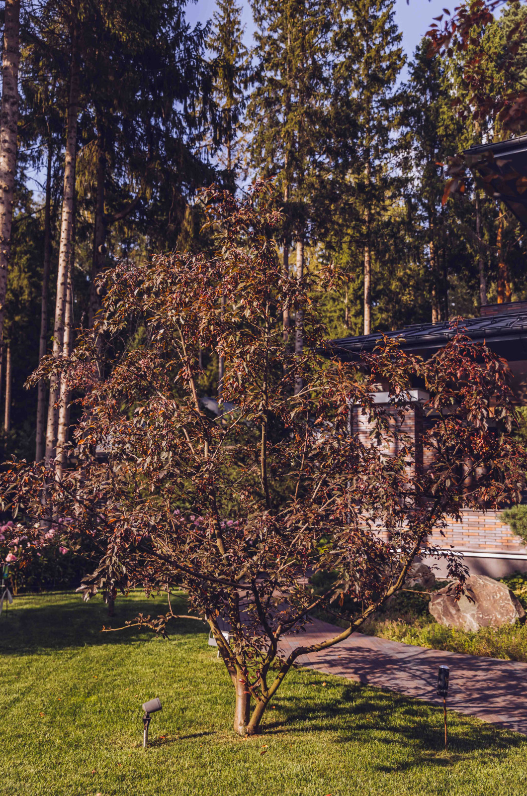 Архитектурное Решение в Пейзажном Стиле