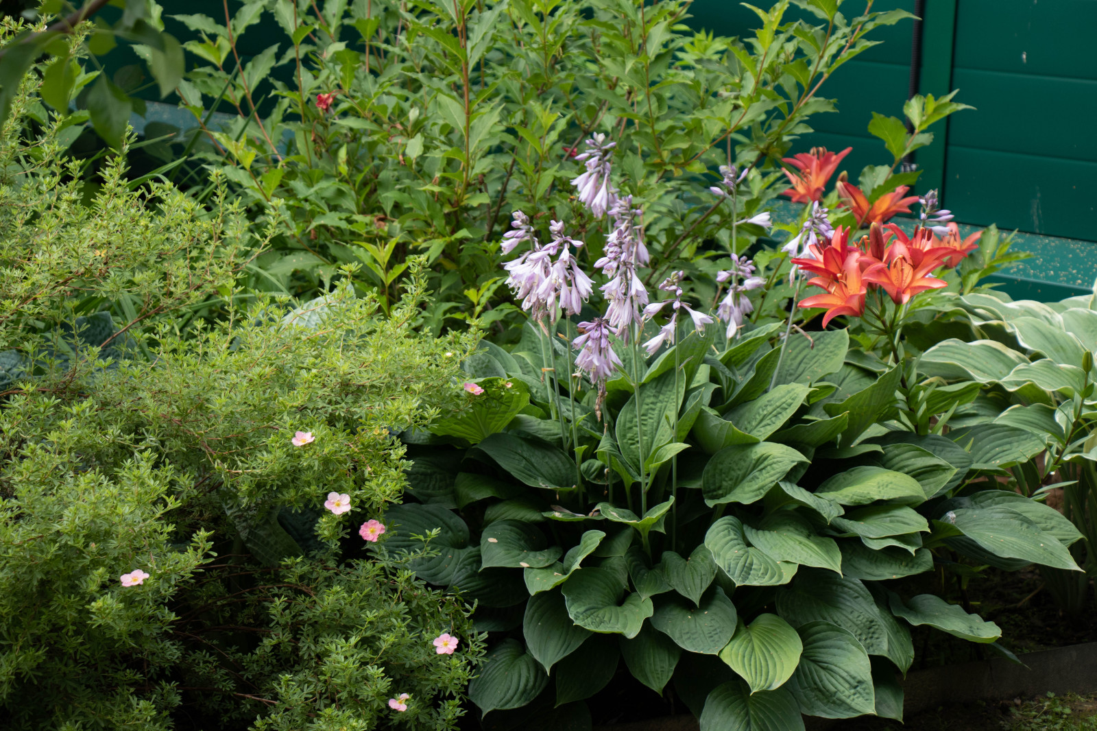 Французский садик в поселке Рыбаки Дмитровское шоссе