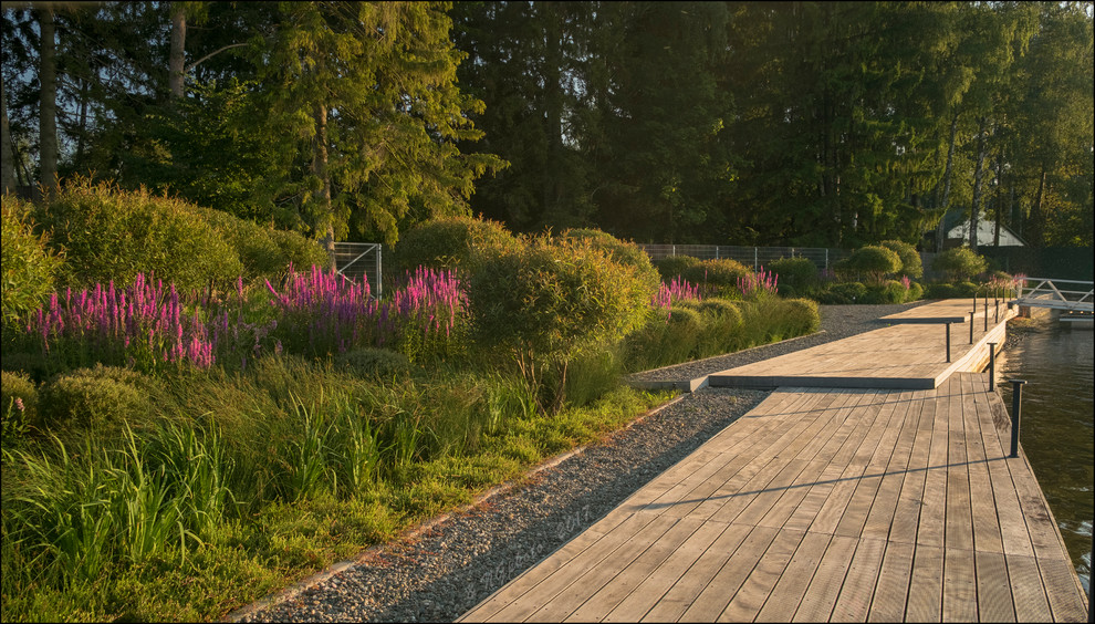 Обложка проекта: Сад на болоте