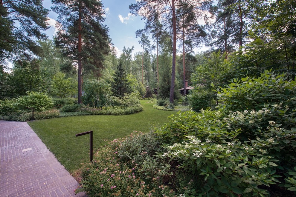 Лесная Рапсодия