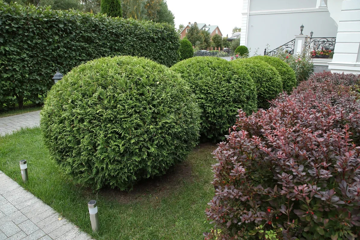 Ангелово. Осень в саду.