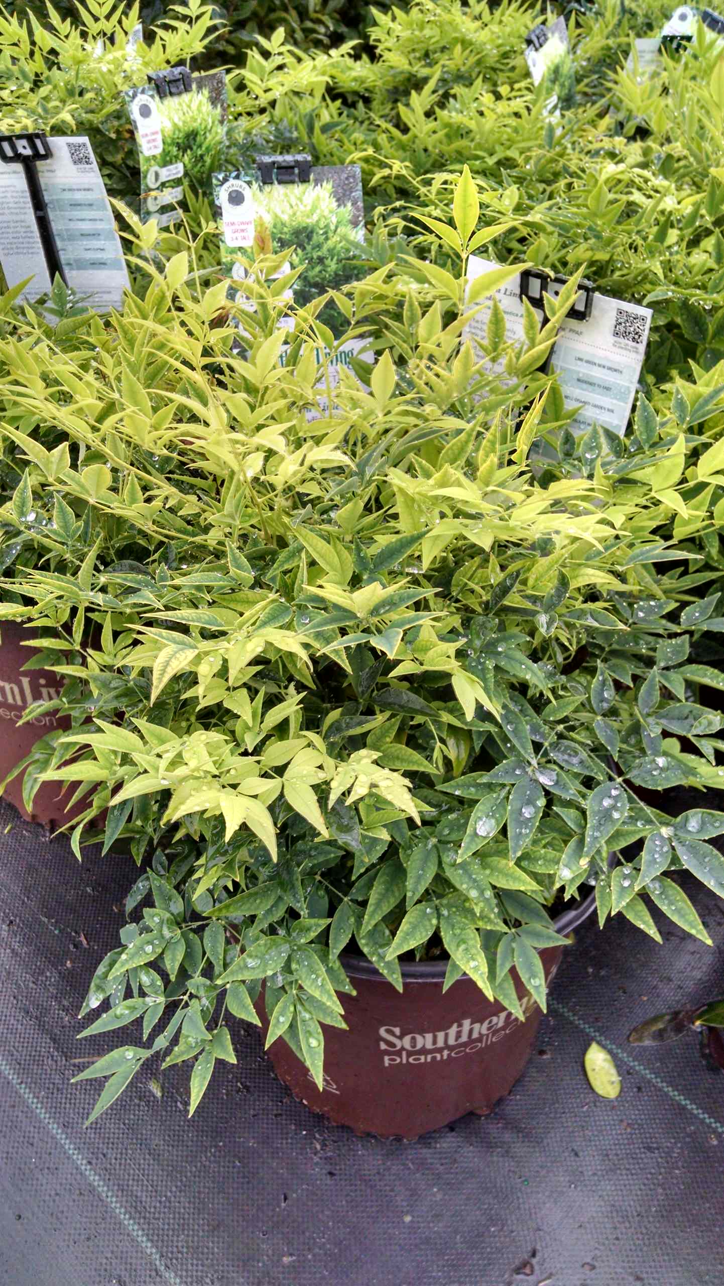 Климатические зоны: Что вам нужно про них знать