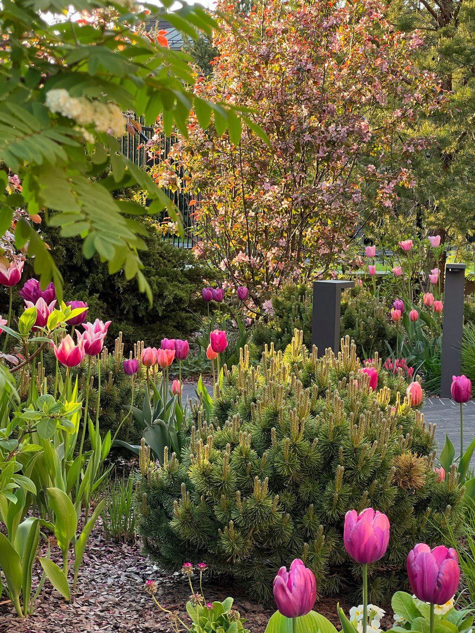 Английская история