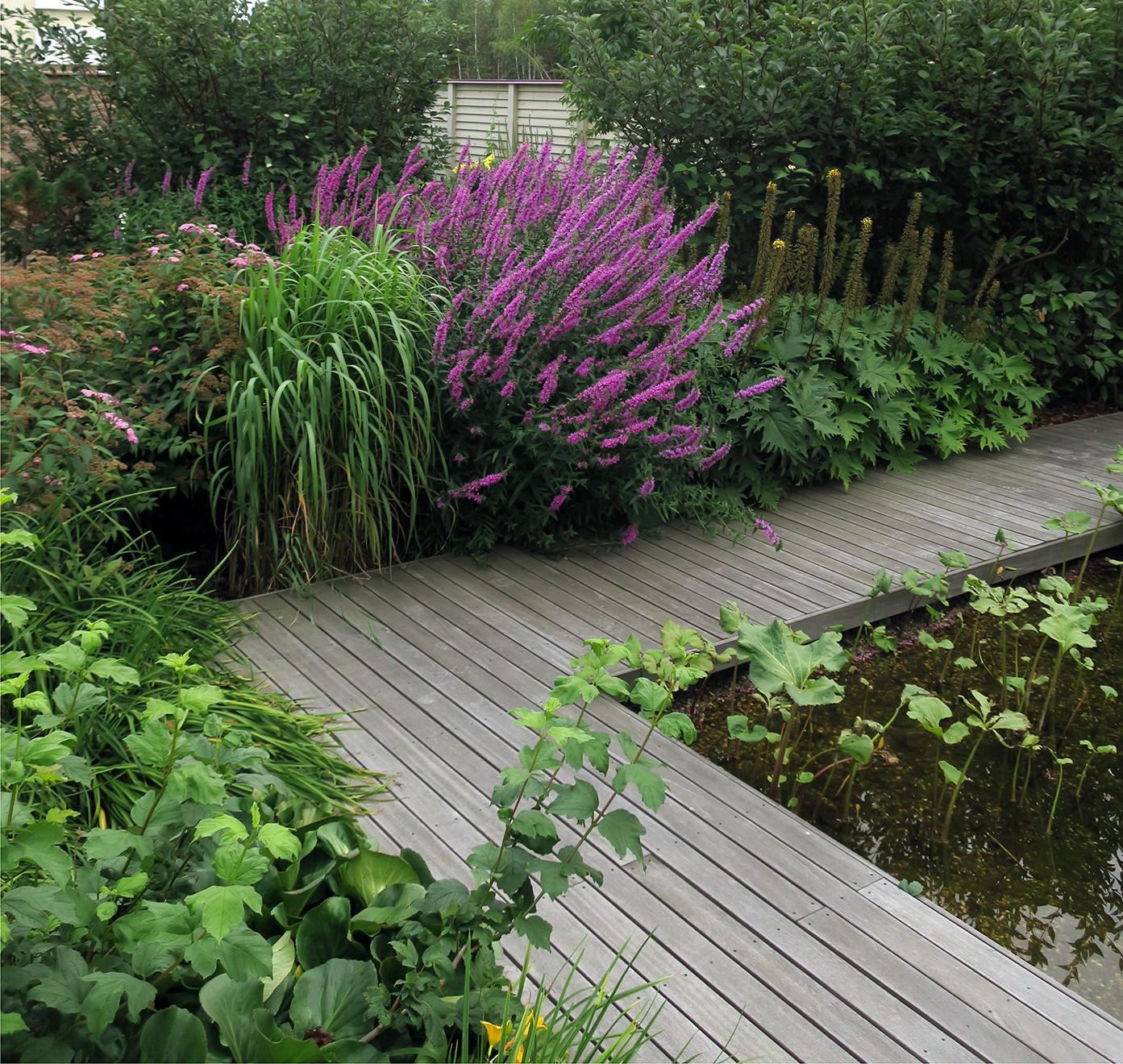 Сад с геометричным водоемом