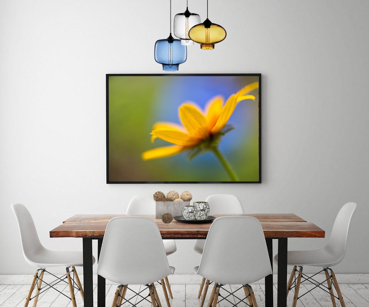 Фотографии -постеры в интерьере