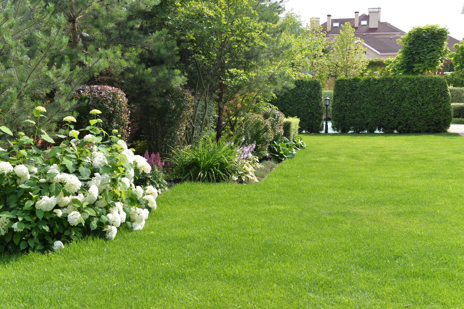 От знакомства до последнего цветника 6 месяцев