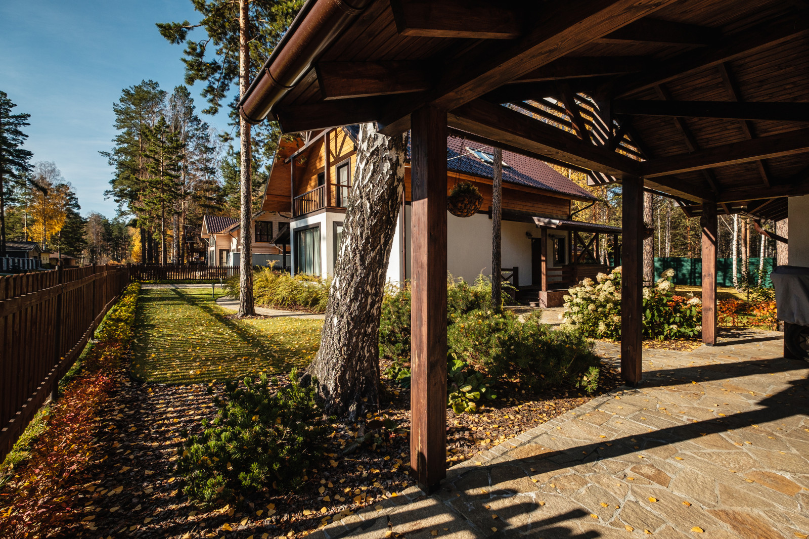 У леса на опушке