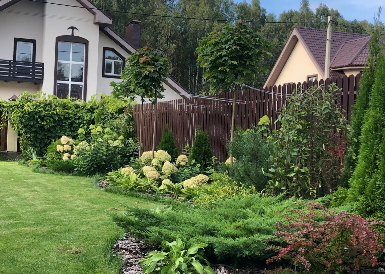 Обложка проекта: Монохромный сад для Ольги