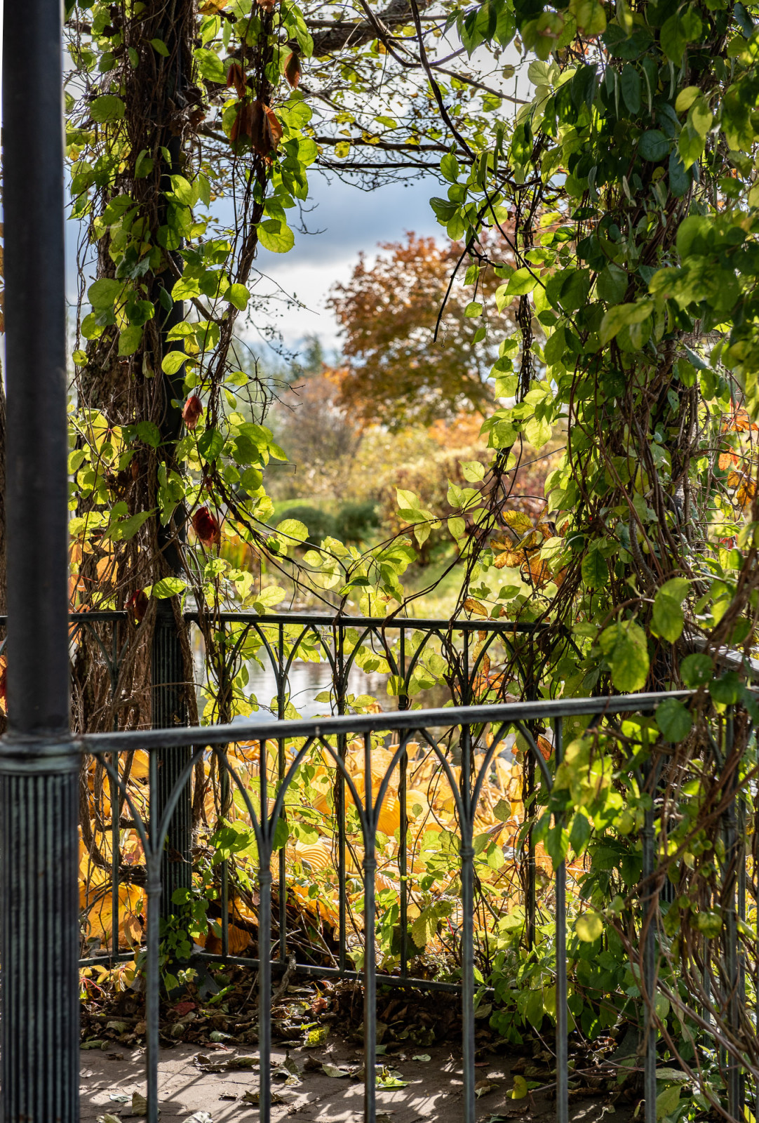 Ореховно. Музей-Усадьба.