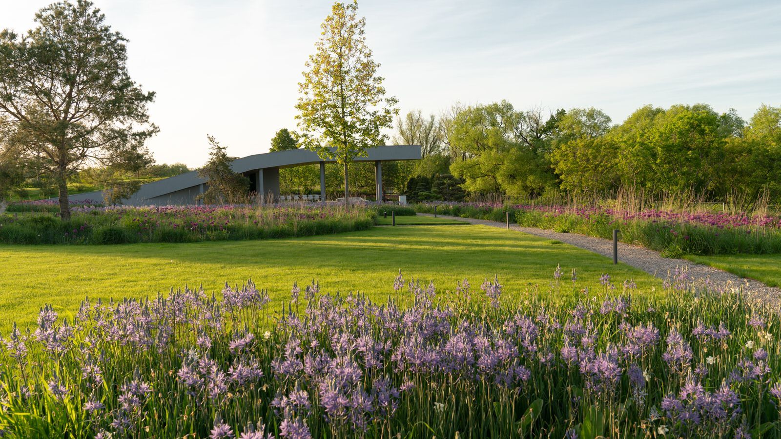 Природный сад. Жуковка XXI век. 2017-2018 гг.