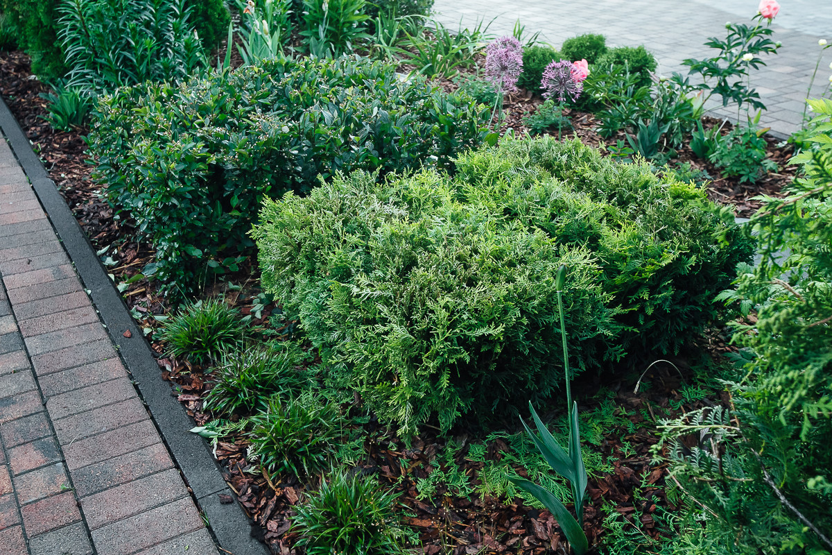 Равновесие