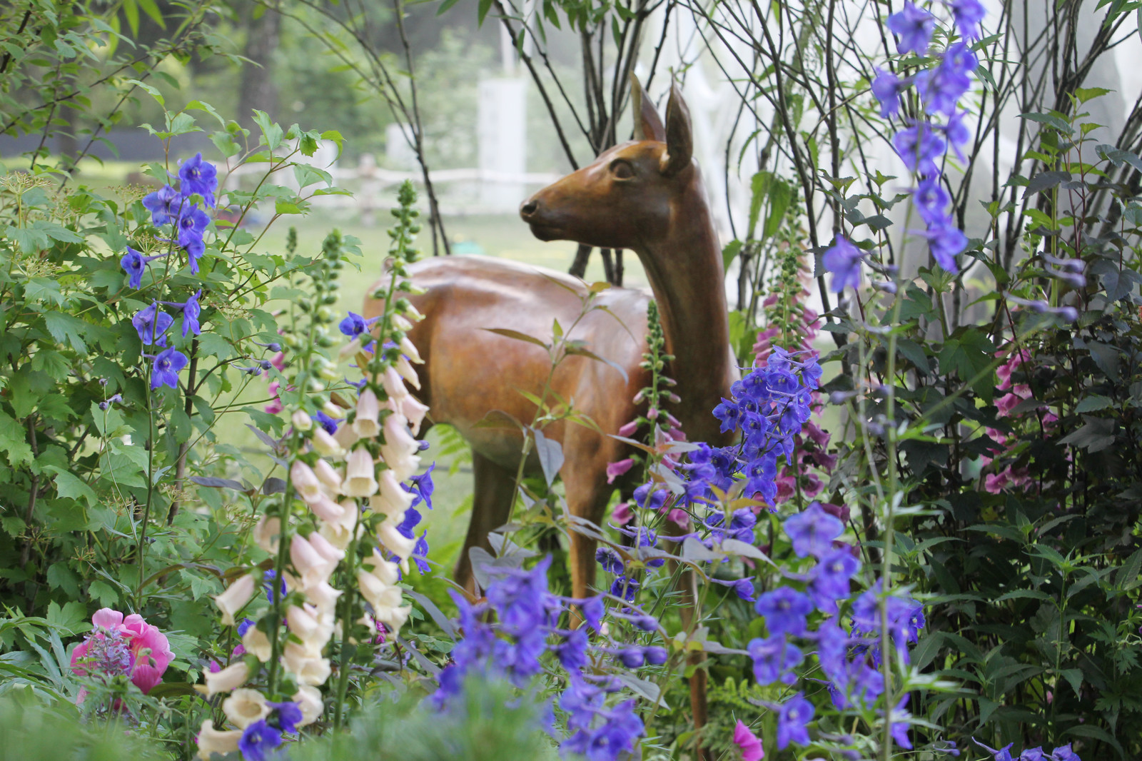 ФОТОСЪЕМКА САДА  GIGI CAMERON  and MARK EVELEIGH на   MOSCOW  FLOWER  SHOW 2017