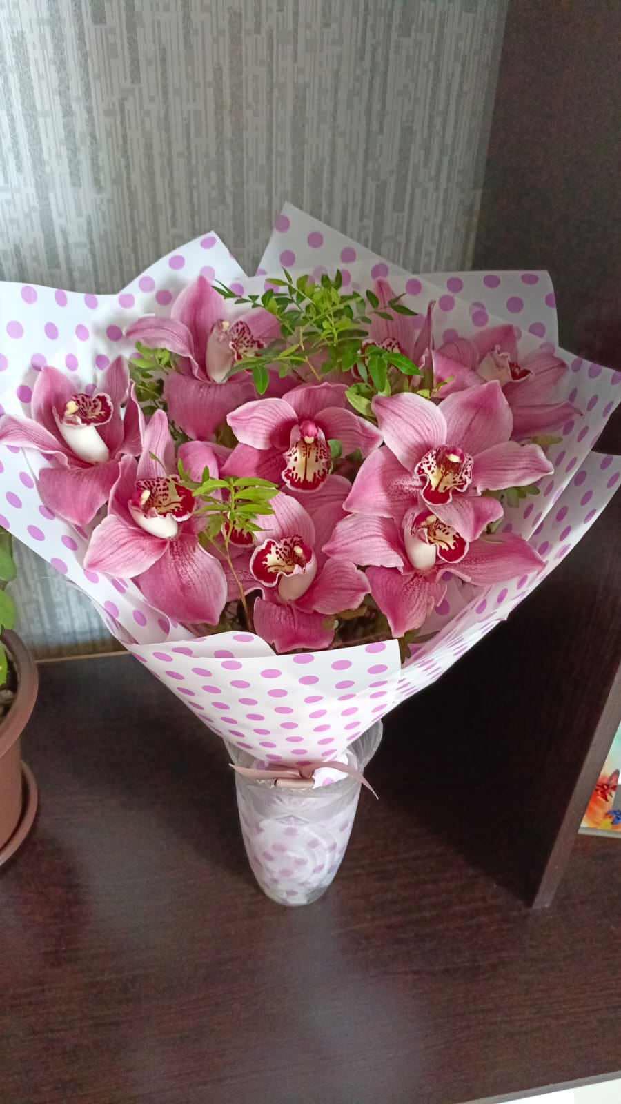 Анастасия Назарова