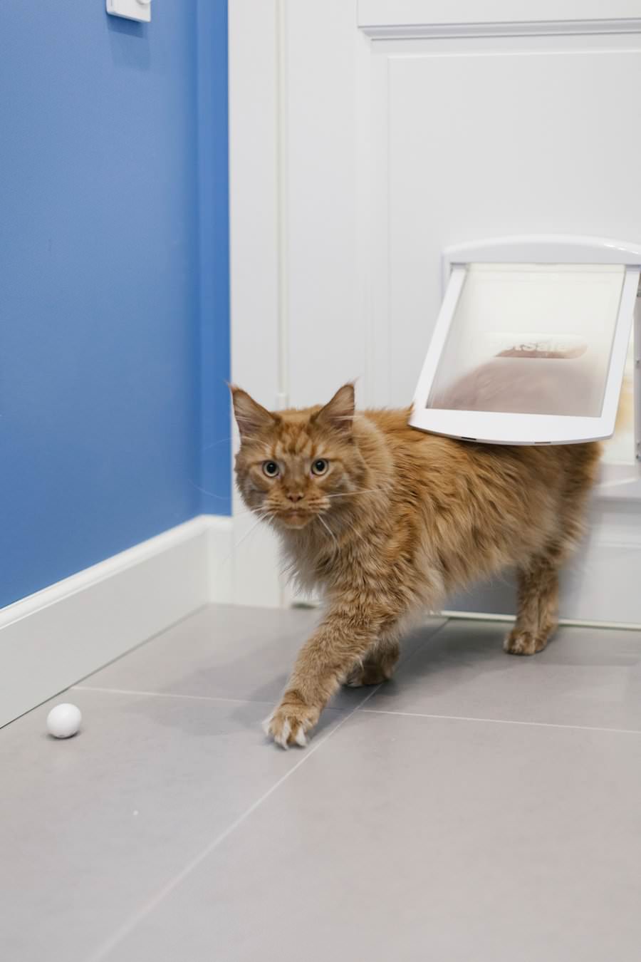 Жизнь в «Сделано» — трёхкомнатная  квартира на Медовой