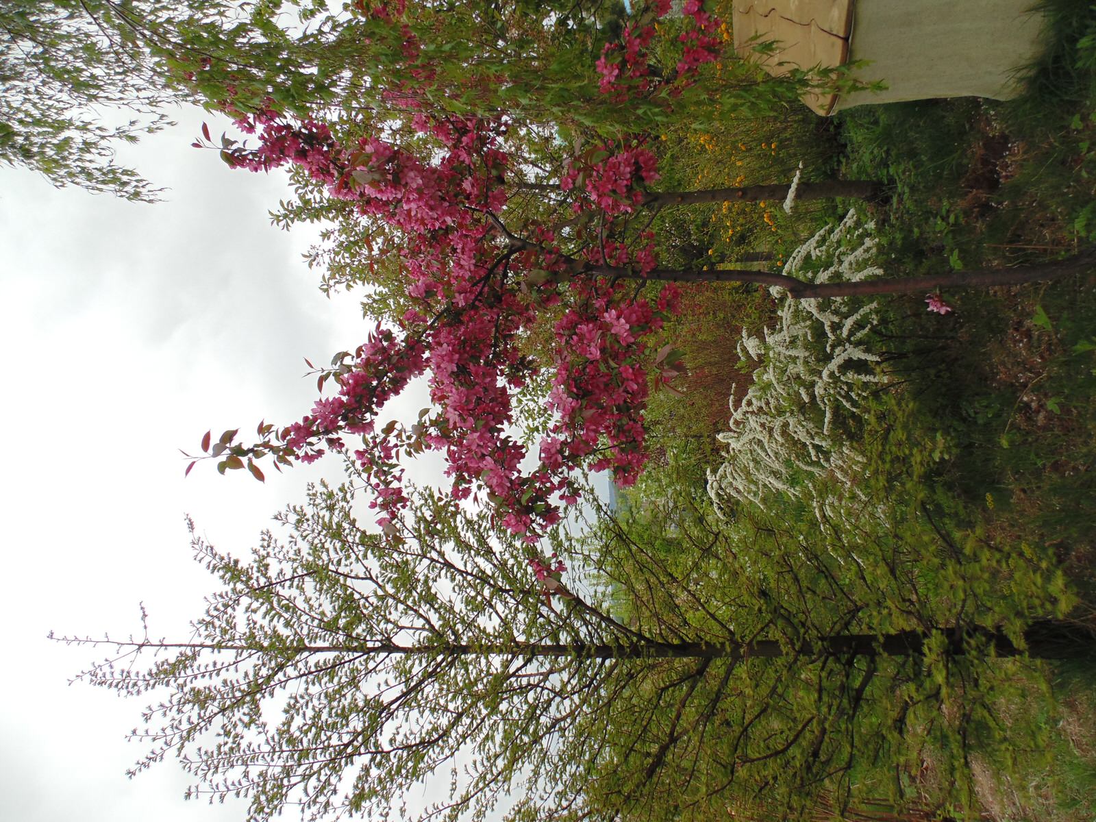 Наш собственный сад