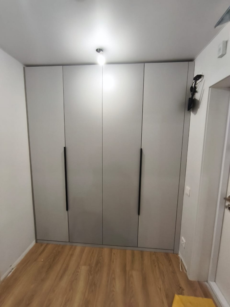 Обложка проекта: Распашной шкаф в прихожую