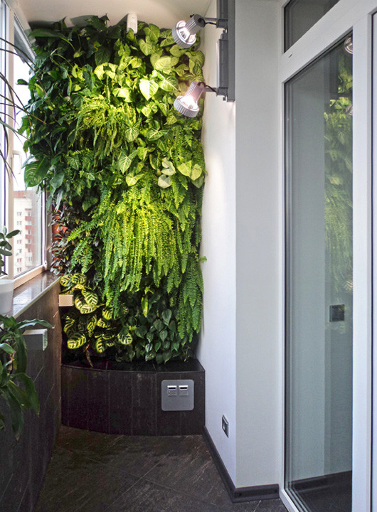 Обложка проекта: Фитоконструкция в петербургской квартире