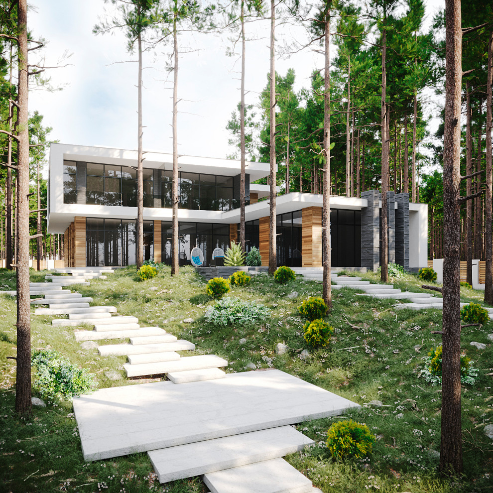 Обложка проекта: MODERN HOUSE #1