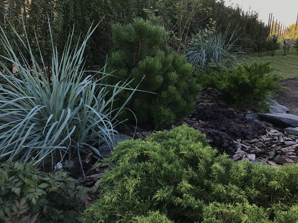 Свежий Ветер, 0.25 га