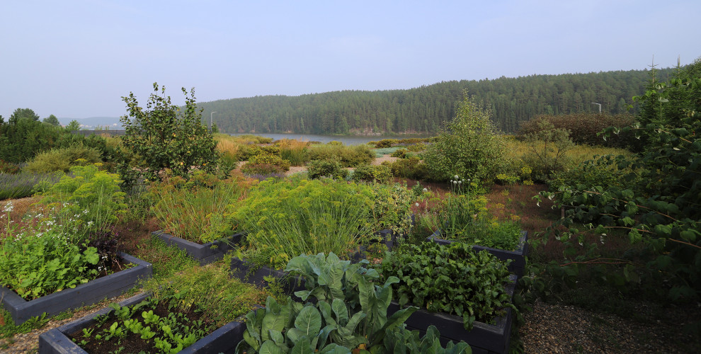 Полынный берег. Новые снимки