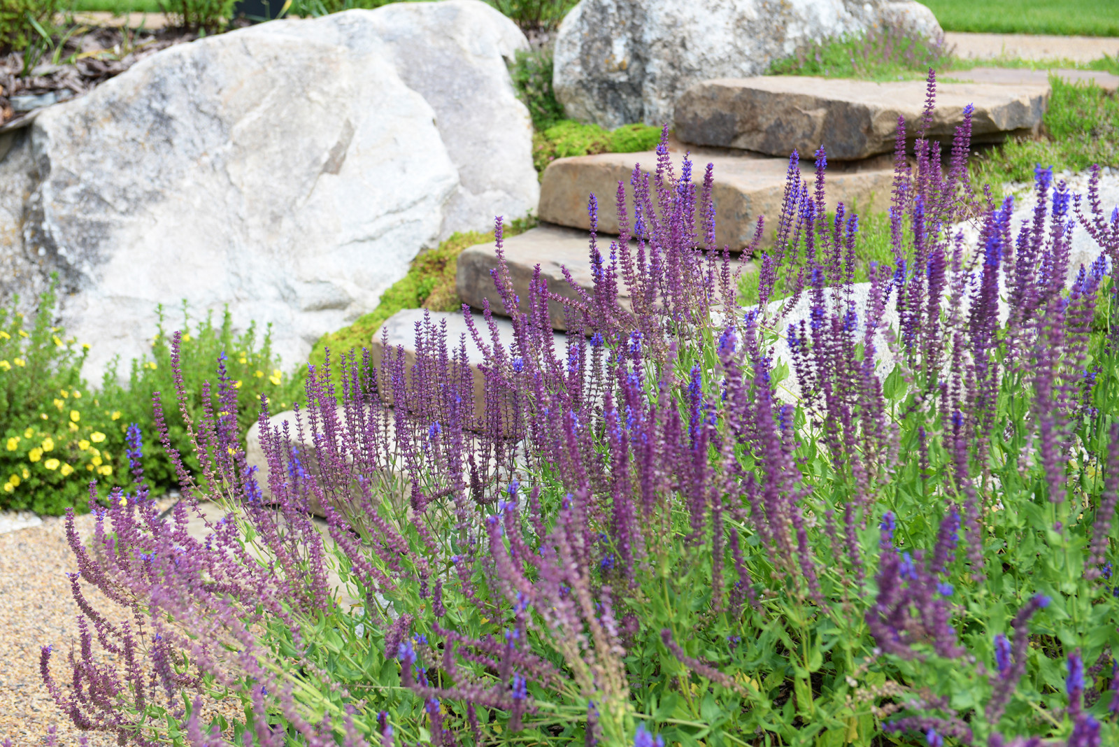 Миллениум парк 2024