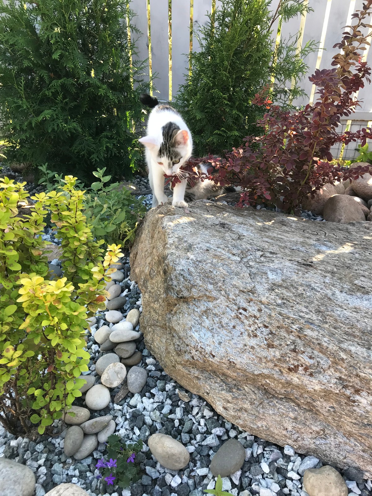 современная классика