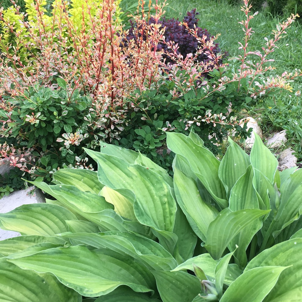 Реставрация старинного сада в калужской области