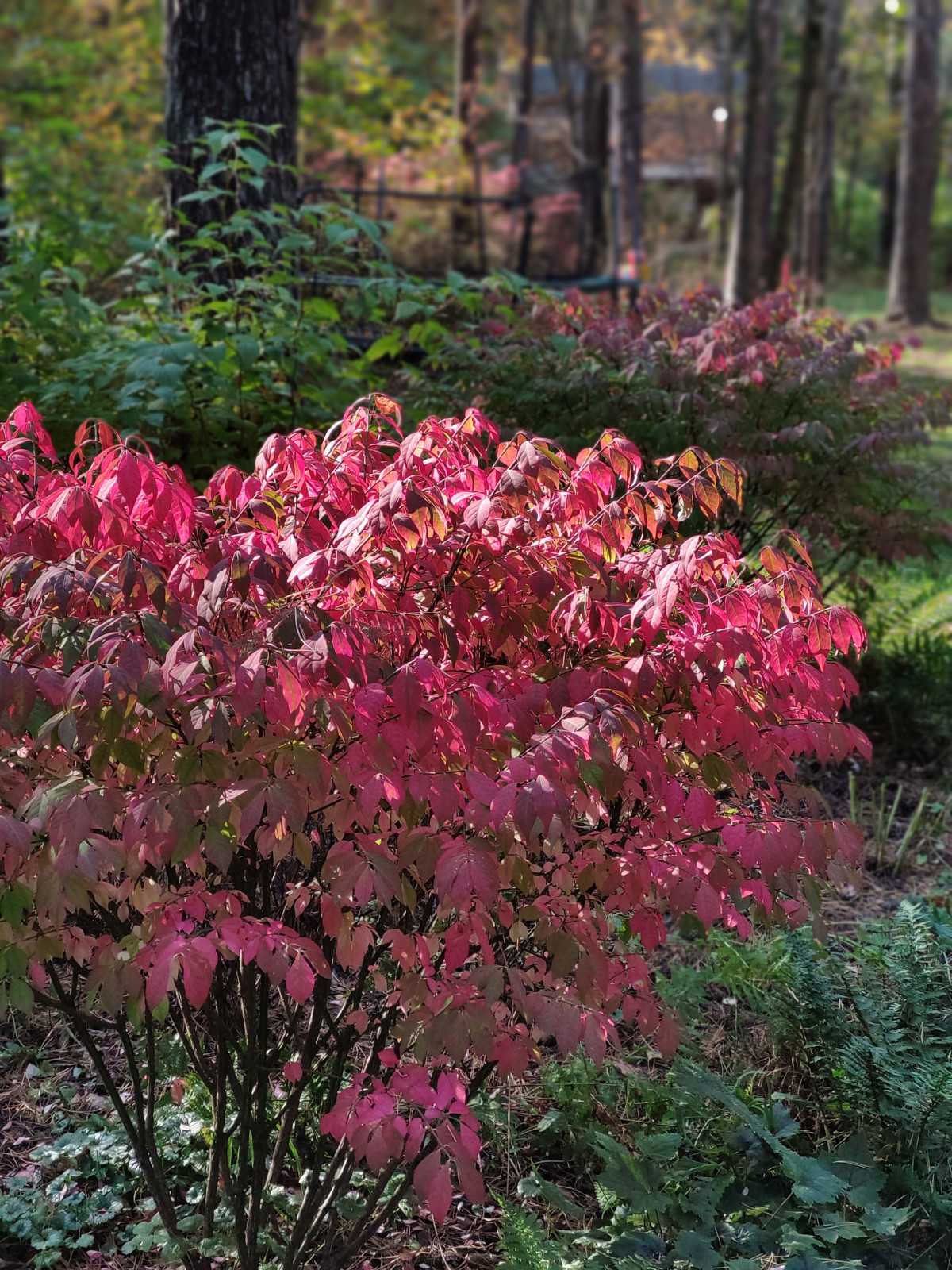 "Дача в Кратово"