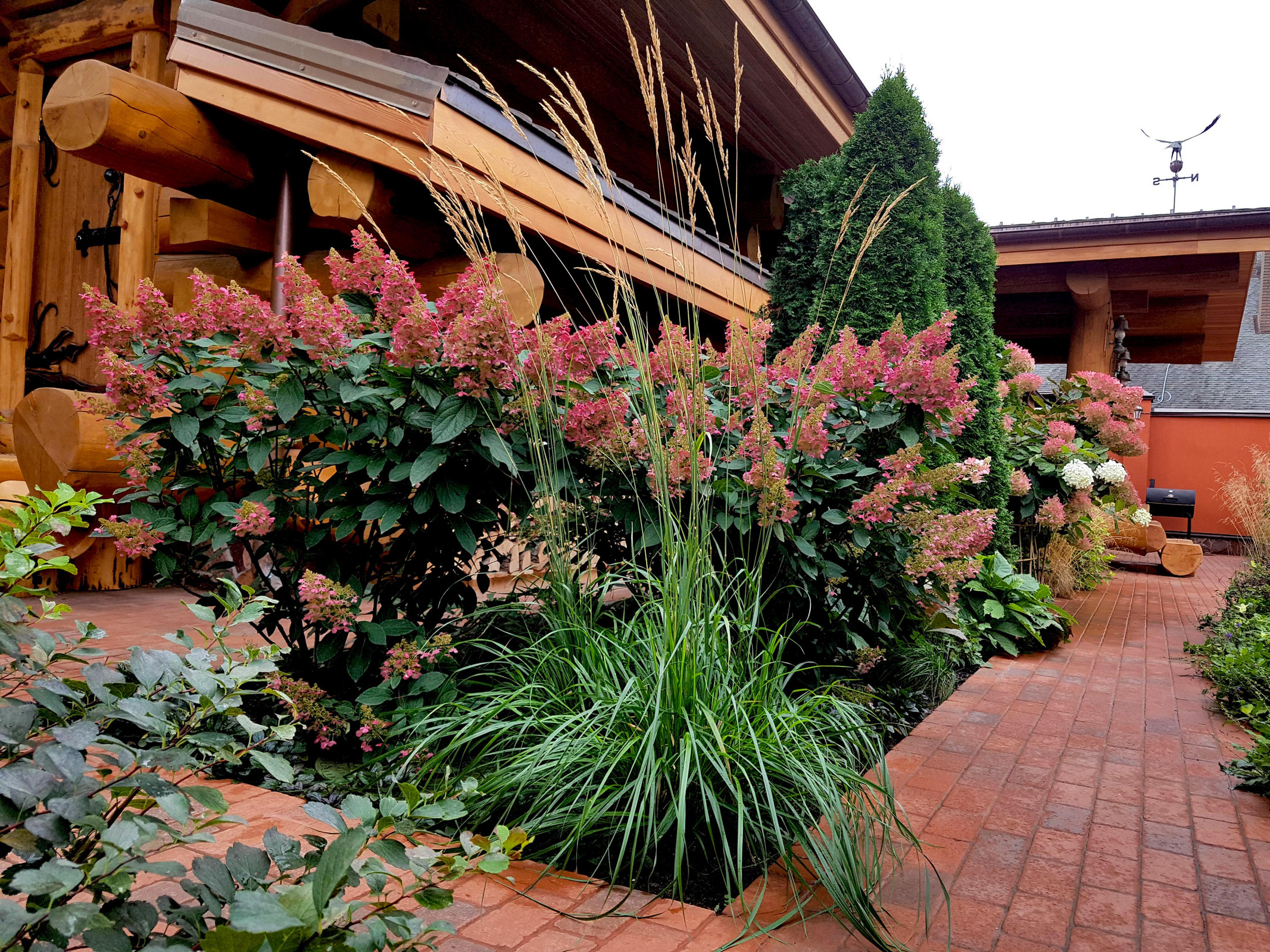 Сад с аурой