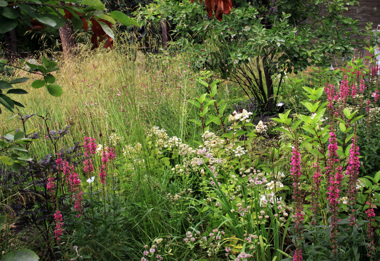 Авторские цветники