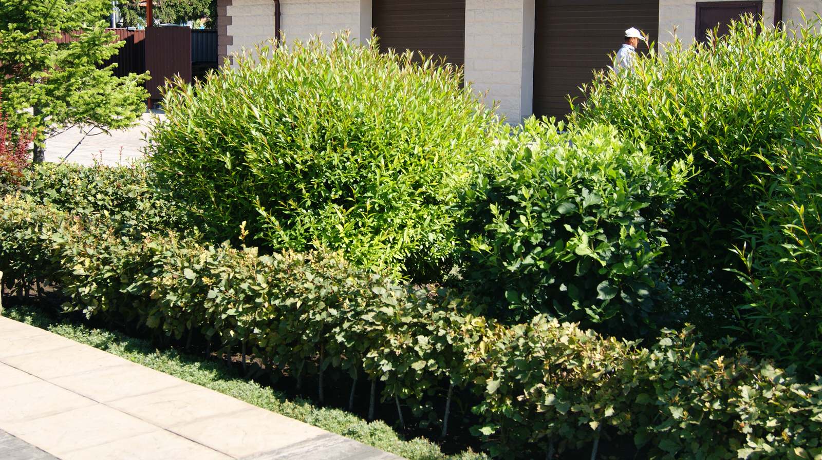 Сад "Европейская сдержанность"