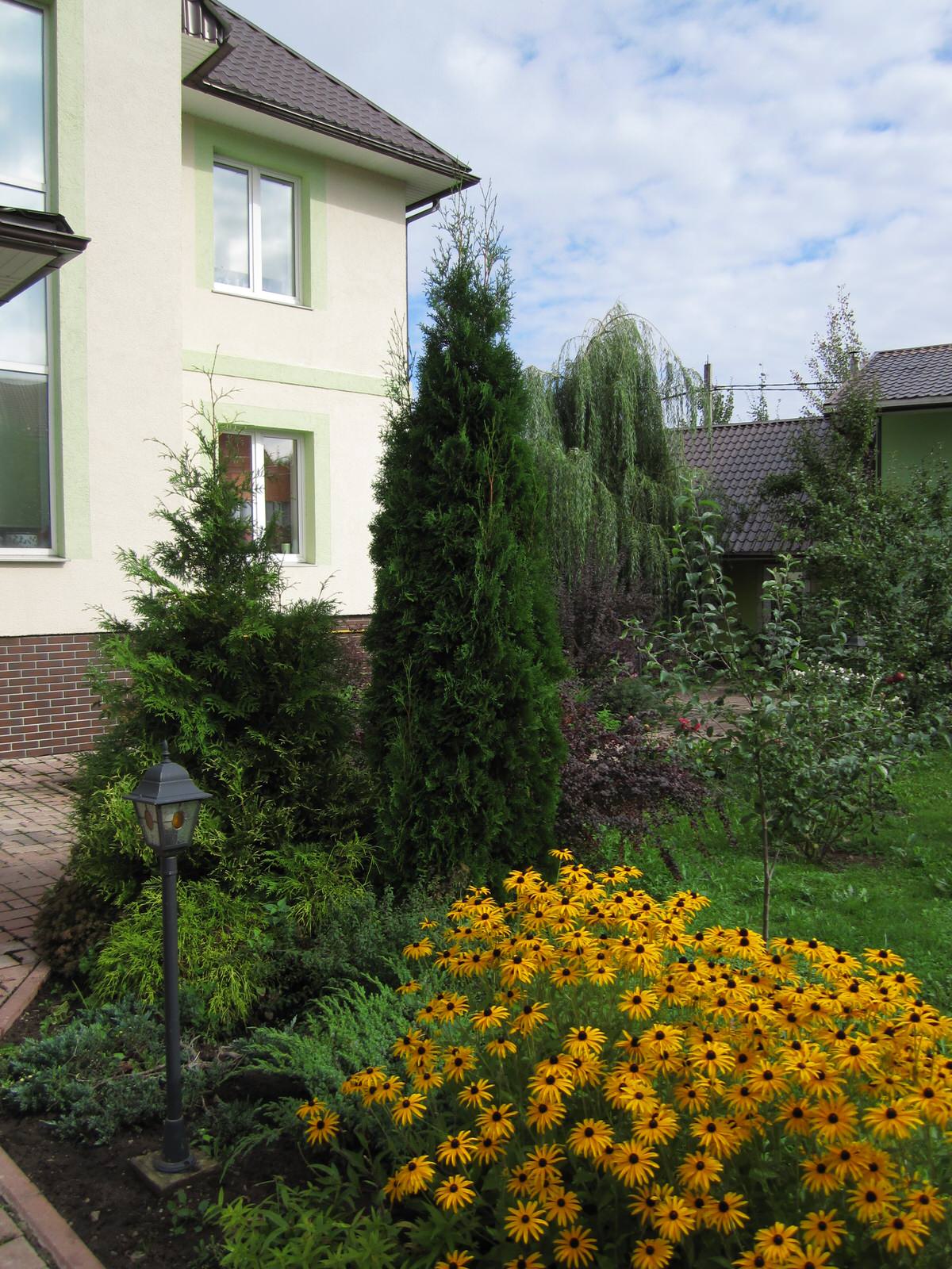 Андрей Волковский