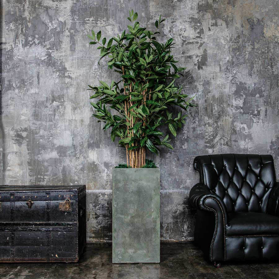 Вопрос: Как выбрать кашпо для больших растений